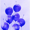 Indigo Balloons