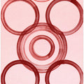 Crimson Circles