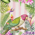 Parakeet Flower Garden
