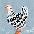 Chicken on blue soil