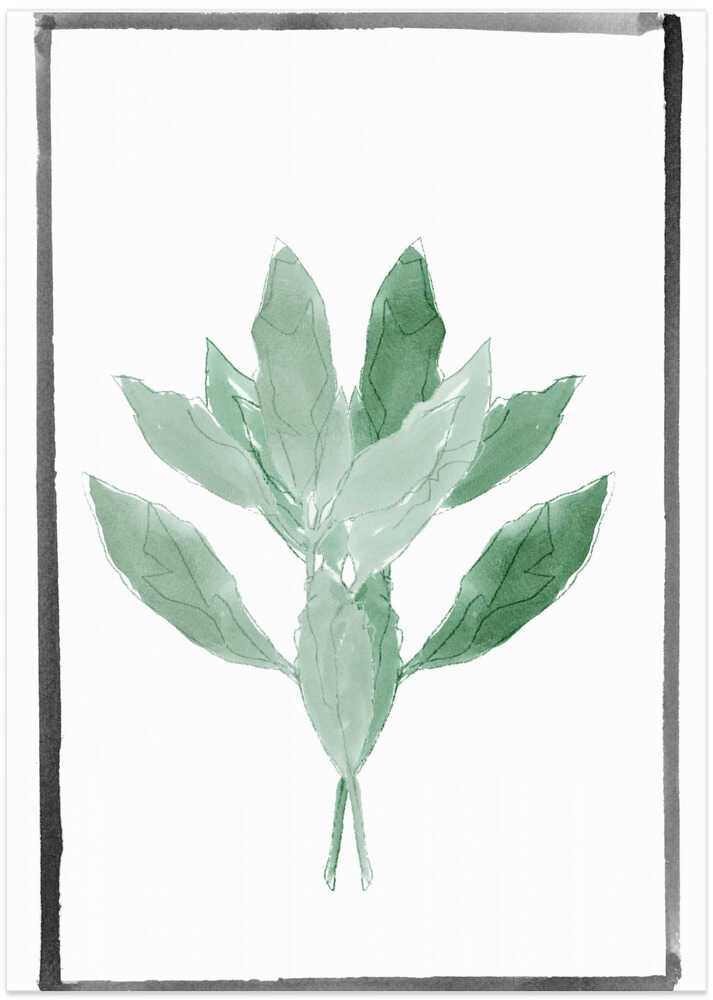 Simple Botanical
