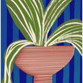 Modern Plant Decor