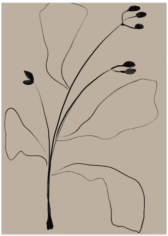 Simply Line Plant