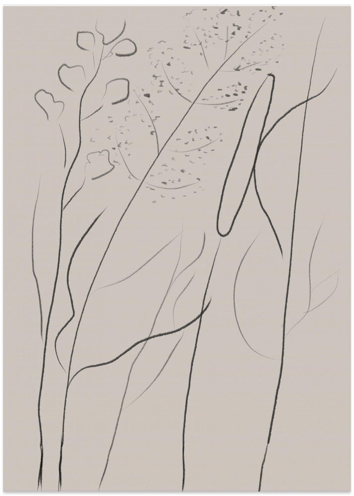 Modern Line art plant