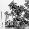Tropical scene in Uganda in black and white