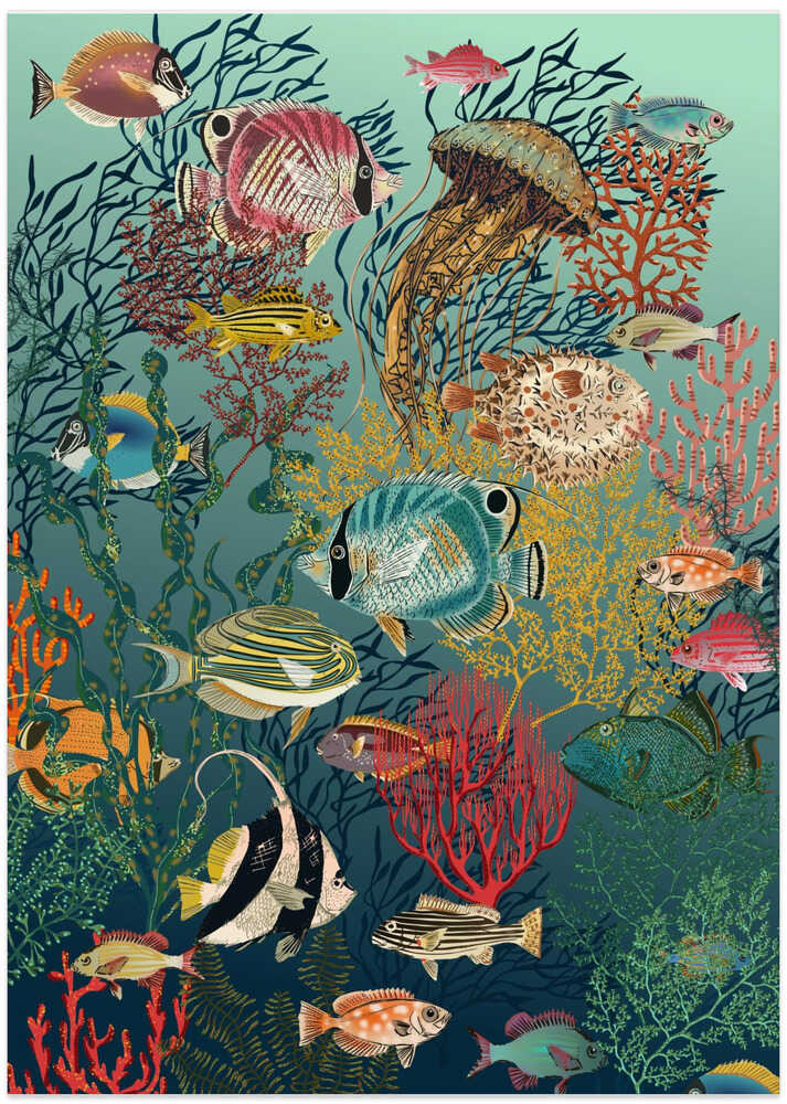 coral reef deep silence teal