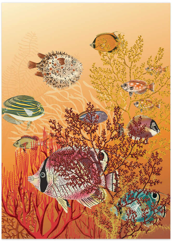 coral reef deep silence orange