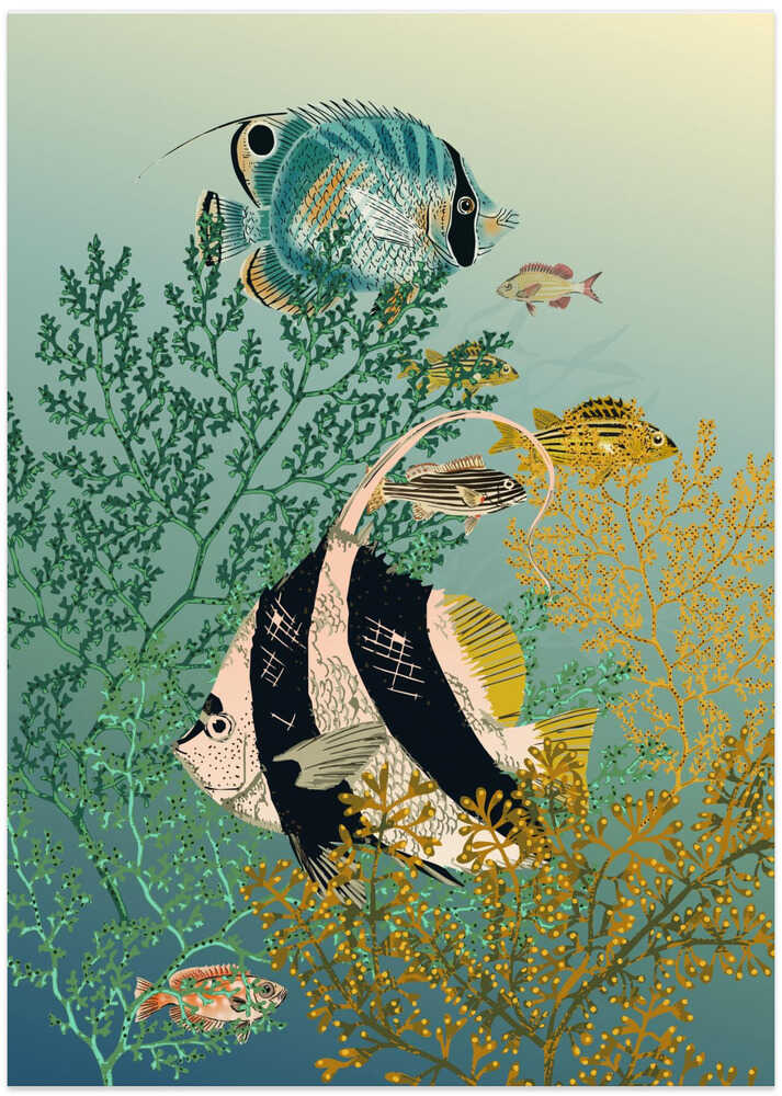 coral reef deep silence teal