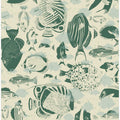 deep ocean fish family light pattern