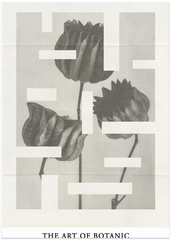 The art of botanic No.1