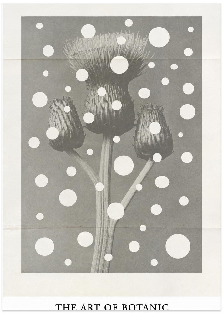 The art of botanic No.2