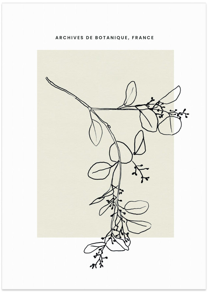 Abstractbotanicsno26