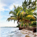 Tropical Ocean in Belize