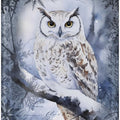 Winter Owl