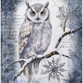 Winter Owl II