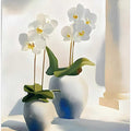 White Orchids
