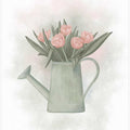 Splash Spring Tulips in Watering can
