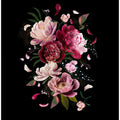 Pink Peonies Explotion Black Artwork