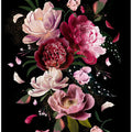 Pink Peonies Explotion Black Artwork