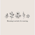 Blooming Is Not Luck