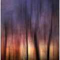 A Blurred Sunset