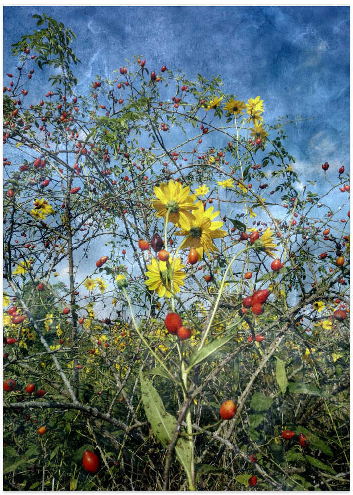 Wild In the Country (1)