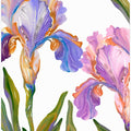 Watercolor Iris