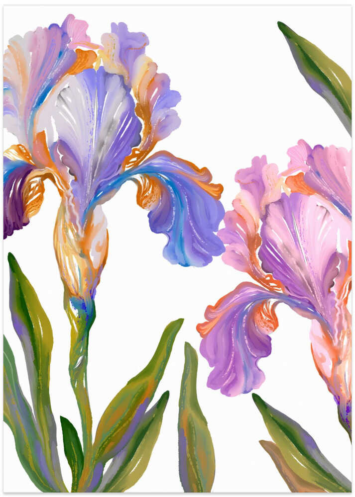 Watercolor Iris