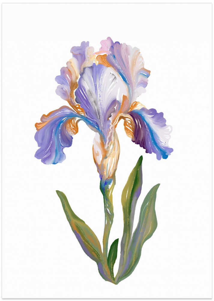 Iris Light