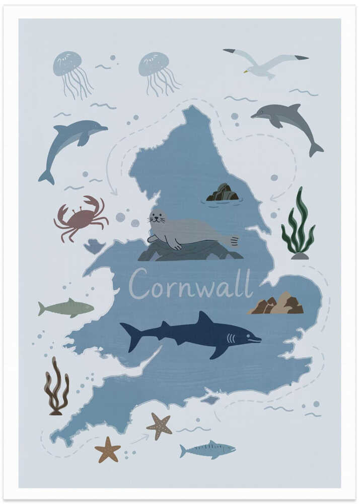 Cornwall Map with Marine Life