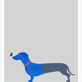 Blue Dachshund and Butterfly