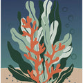 Underwater Coral and Seaweed Garden