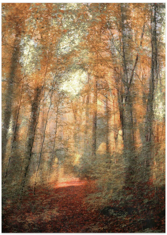 Path Of Falling Leaves