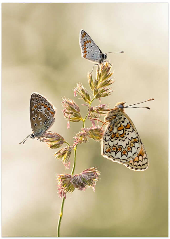 A kind of melting pot