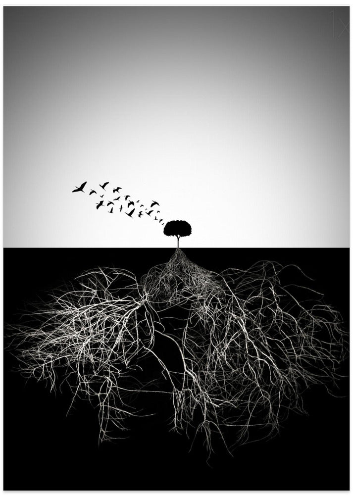 Art Prints of Do not judge according to appearance