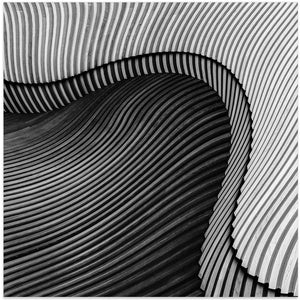 Art Prints of The wood project II - Sea shore