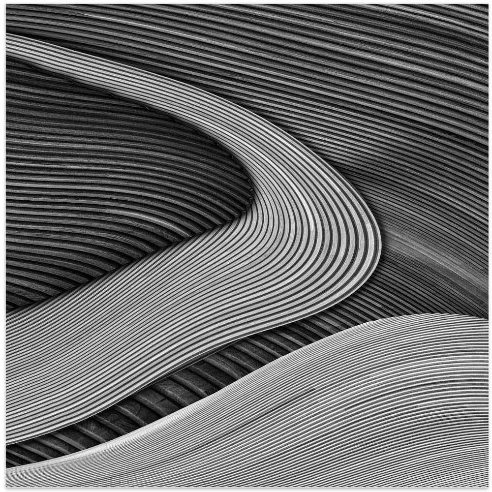 Art Prints of The wood project III - Zen garden