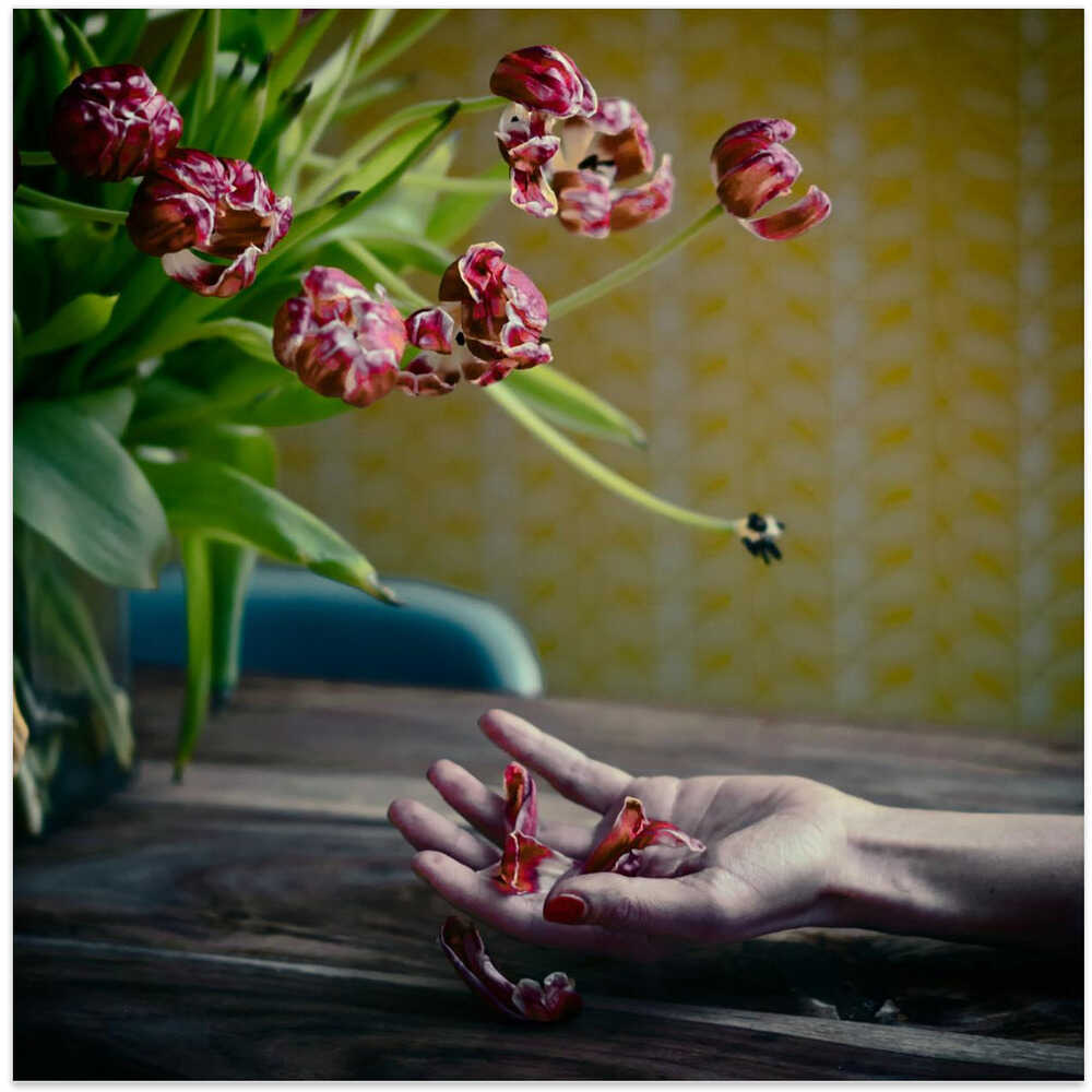 I will love you better....