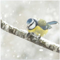 blue tit in a snowstorm