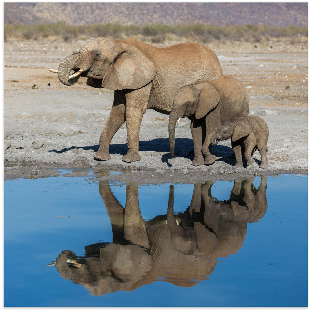 Art Prints of FAMILY DRINK