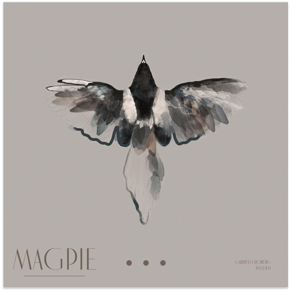 Magpie