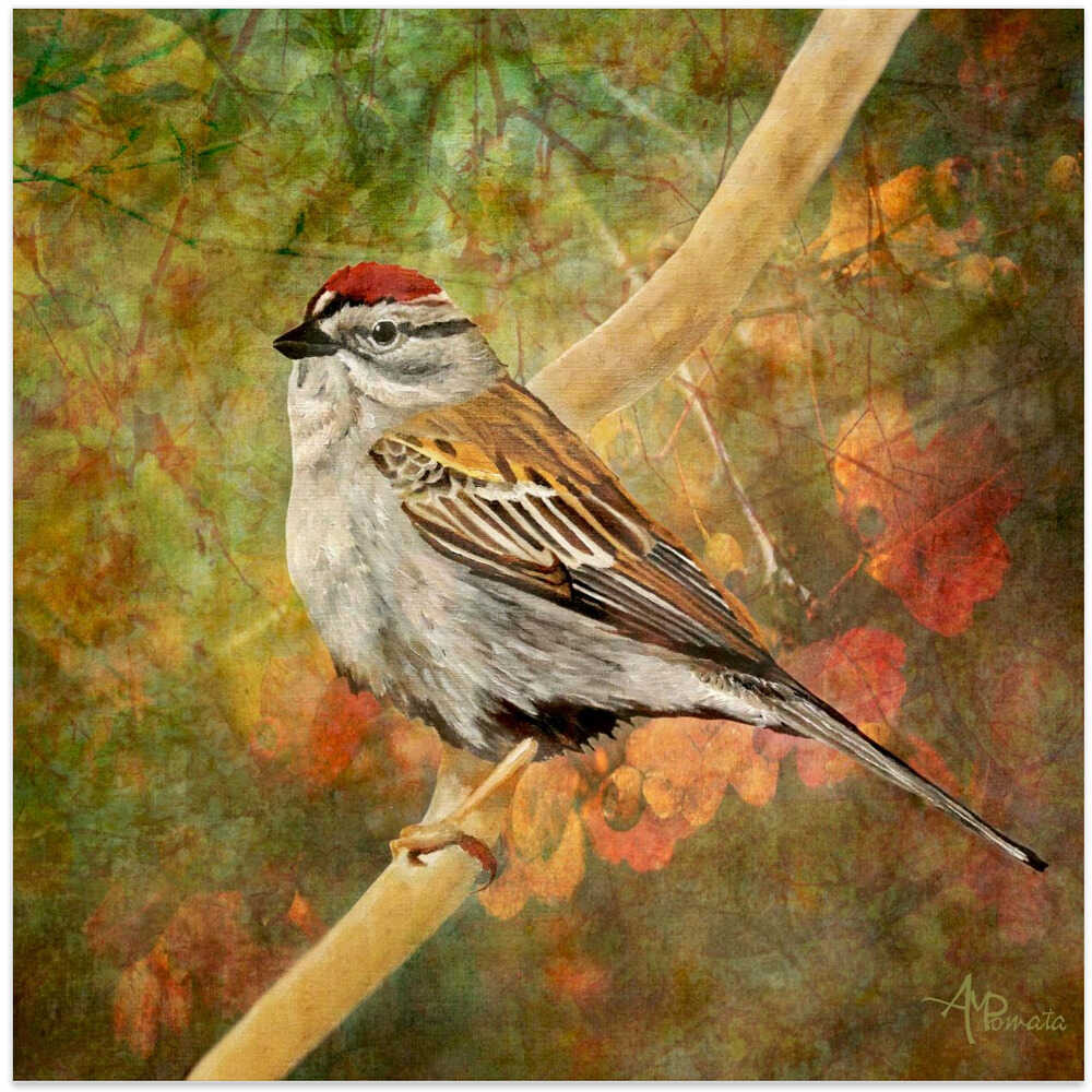 Immersed In the Forest