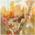 Sweet Autumn Carolina Wren