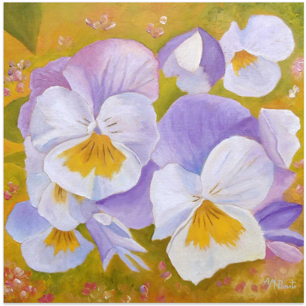 Pansies