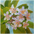 Plumeria
