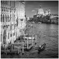 VENICE Canal Grande & Santa Maria della Salute - monochrome