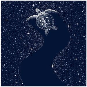 Art Prints of Starry Turtle