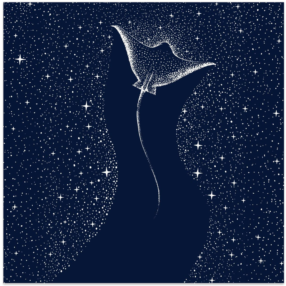 Art Prints of Star Collector