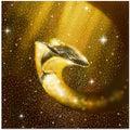 Starry Whale In Golden Space