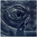 In the Whale's Eye   Blue Version